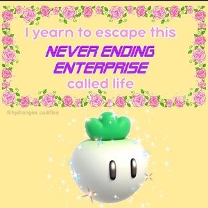 Meet your Posher, Kat